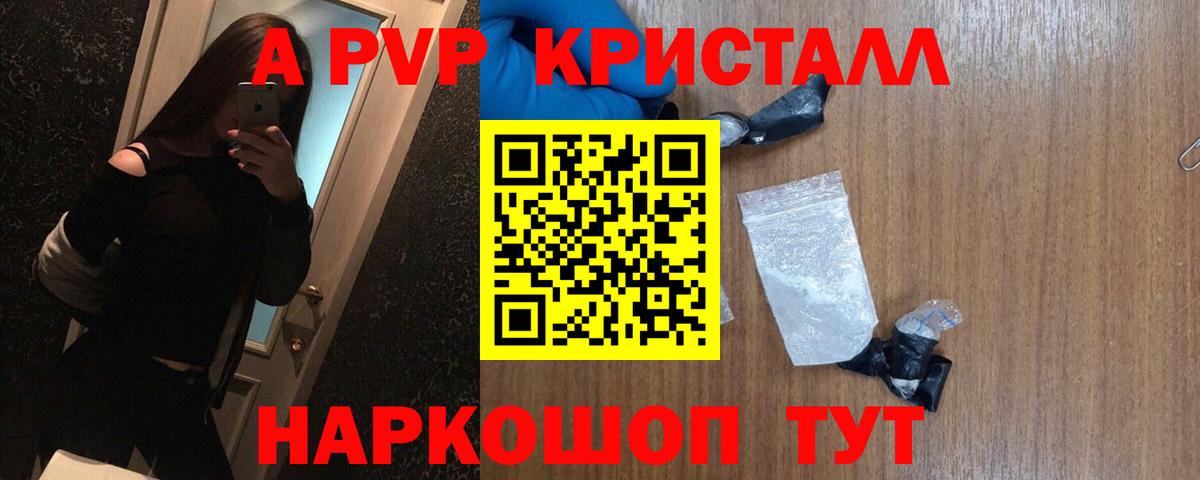 A PVP СК Горно-Алтайск