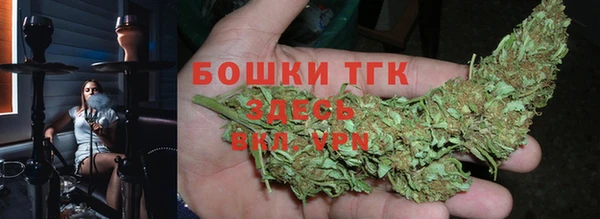 прущие грибы Беломорск
