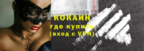 прущие грибы Беломорск
