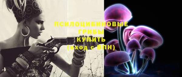 дурь Белокуриха
