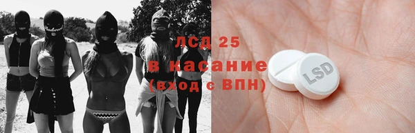 прущие грибы Беломорск