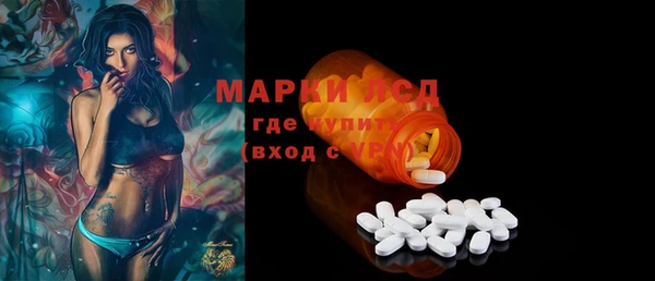 прущие грибы Беломорск
