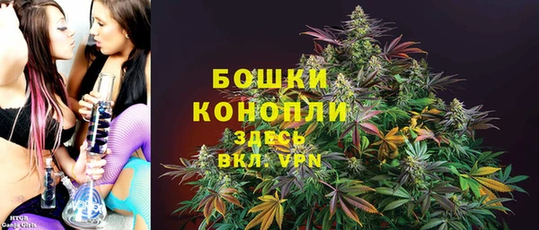 дурь Белокуриха
