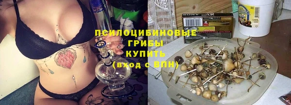 прущие грибы Беломорск