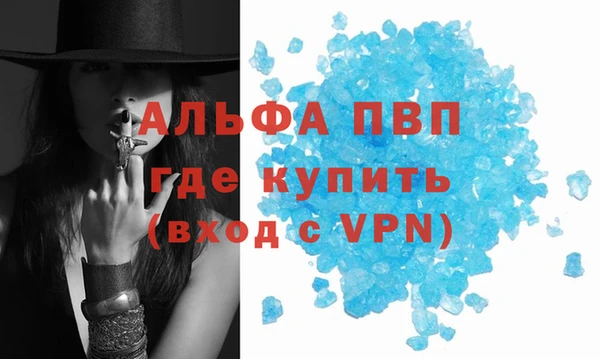 прущие грибы Беломорск