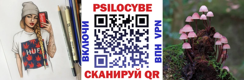 Псилоцибиновые грибы Psilocybine cubensis  магазин    Горно-Алтайск 