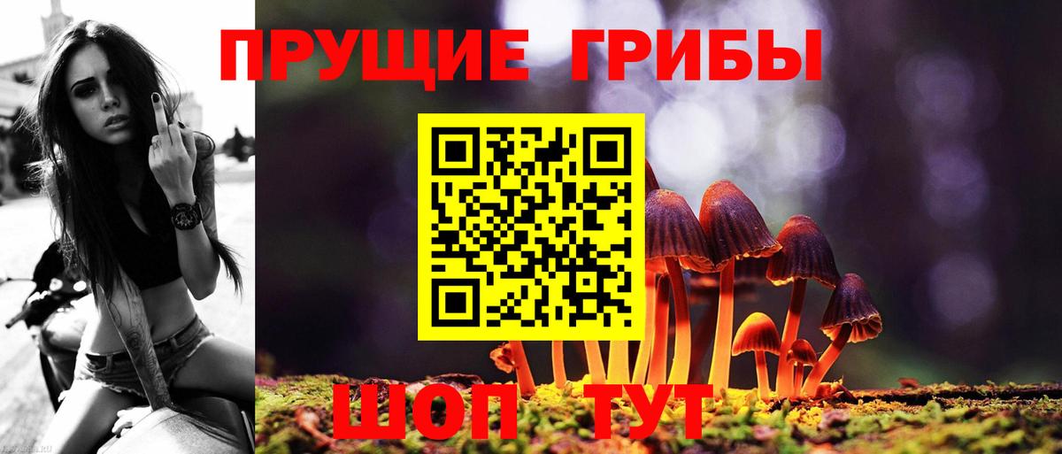 Псилоцибиновые грибы прущие грибы Горно-Алтайск